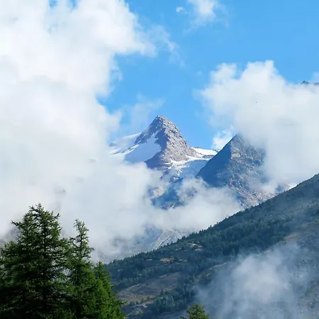 Bergfink Appartement-fewo 8-bettwohnung Nr- 1 By Interhome Apartment Saas-Fee